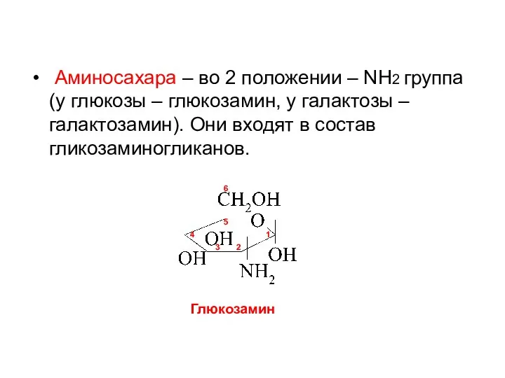 Аминосахара – во 2 положении – NН2 группа (у глюкозы – глюкозамин,