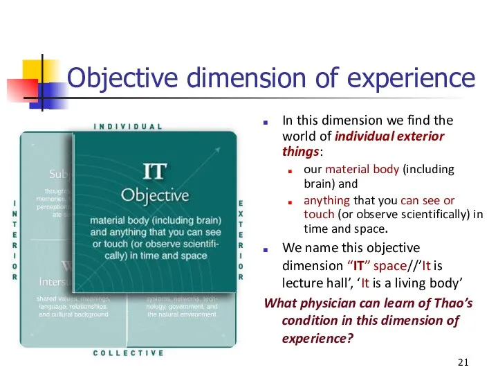 Objective dimension of experience In this dimension we find the world of
