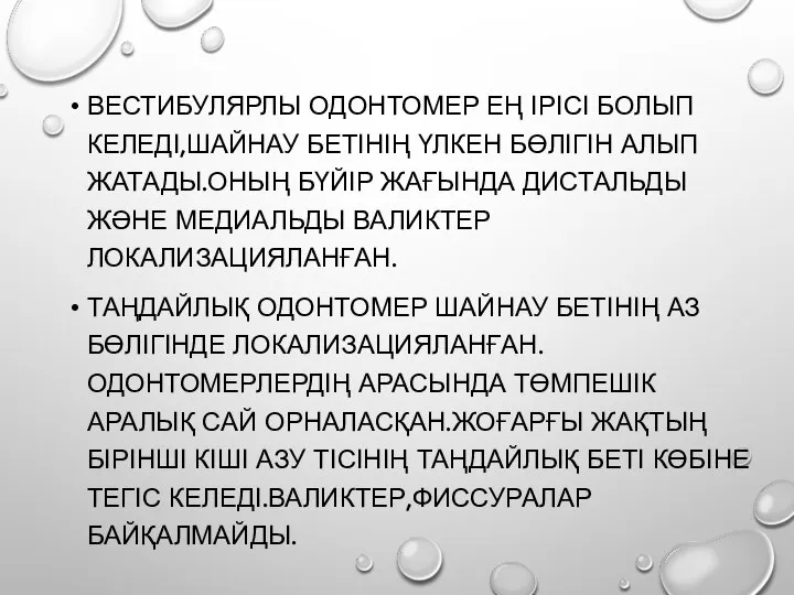 ВЕСТИБУЛЯРЛЫ ОДОНТОМЕР ЕҢ ІРІСІ БОЛЫП КЕЛЕДІ,ШАЙНАУ БЕТІНІҢ ҮЛКЕН БӨЛІГІН АЛЫП ЖАТАДЫ.ОНЫҢ БҮЙІР