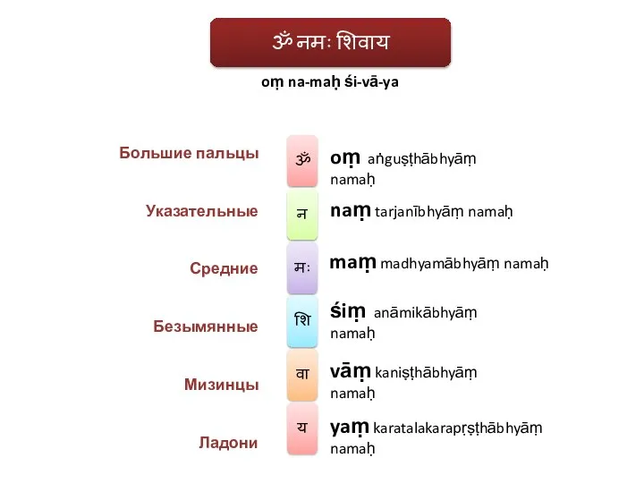 oṃ na-maḥ śi-vā-ya oṃ aṅguṣṭhābhyāṃ namaḥ naṃ tarjanībhyāṃ namaḥ maṃ madhyamābhyāṃ namaḥ