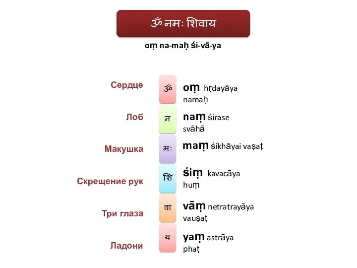 oṃ na-maḥ śi-vā-ya oṃ hṛdayāya namaḥ naṃ śirase svāhā maṃ śikhāyai vaṣaṭ