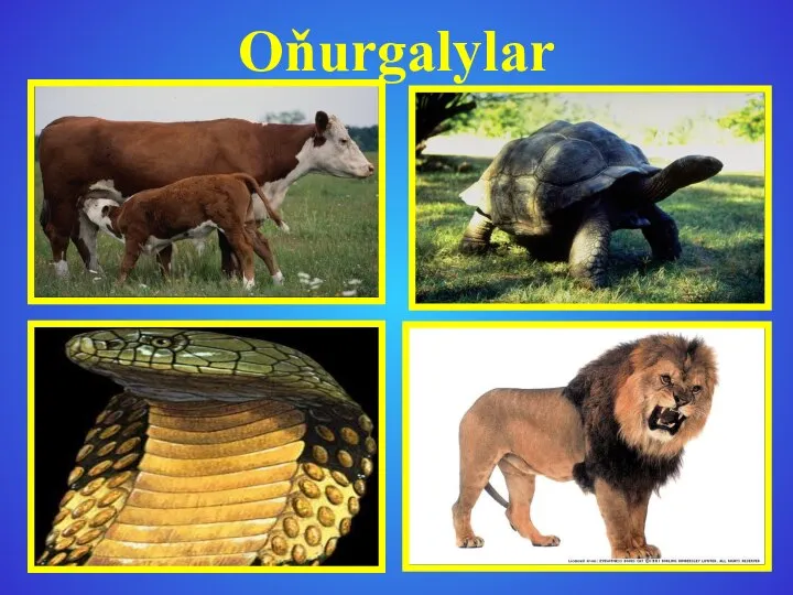 Oňurgalylar