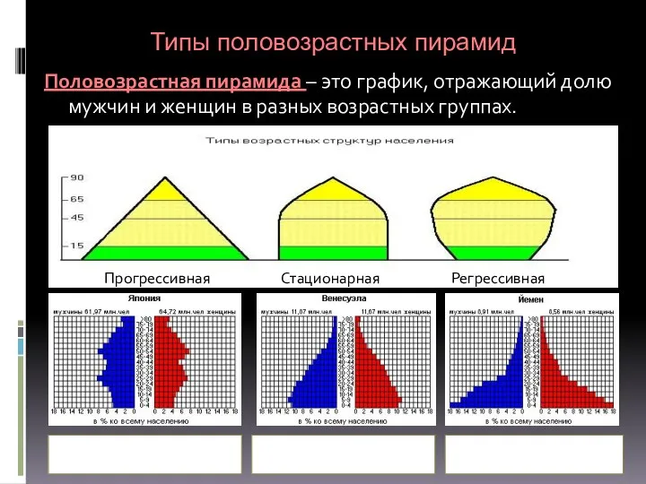 Половозрастная пирамида – это график, отражающий долю мужчин и женщин в разных