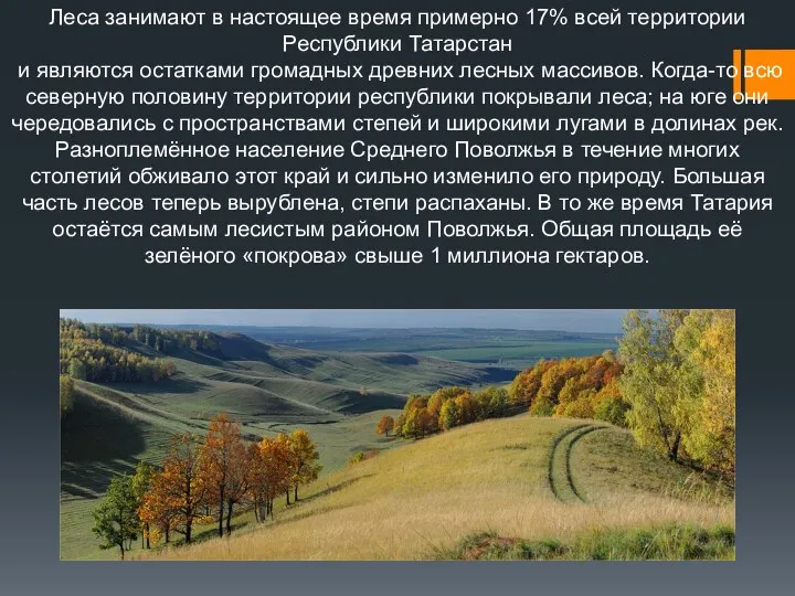 Леса занимают в настоящее время примерно 17% всей территории Республики Татарстан и