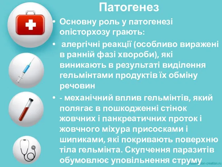 Патогенез Основну роль у патогенезі опісторхозу грають: алергічні реакції (особливо виражені в