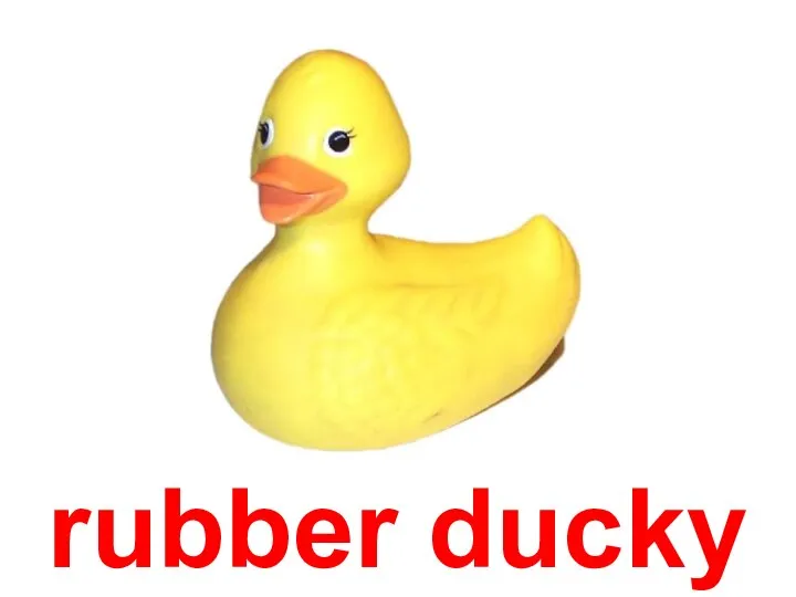 rubber ducky