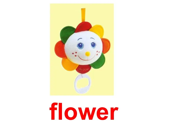 flower