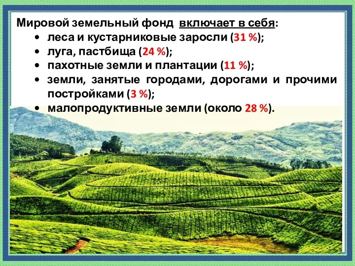 Мировой земельный фонд включает в себя: леса и кустарниковые заросли (31 %);