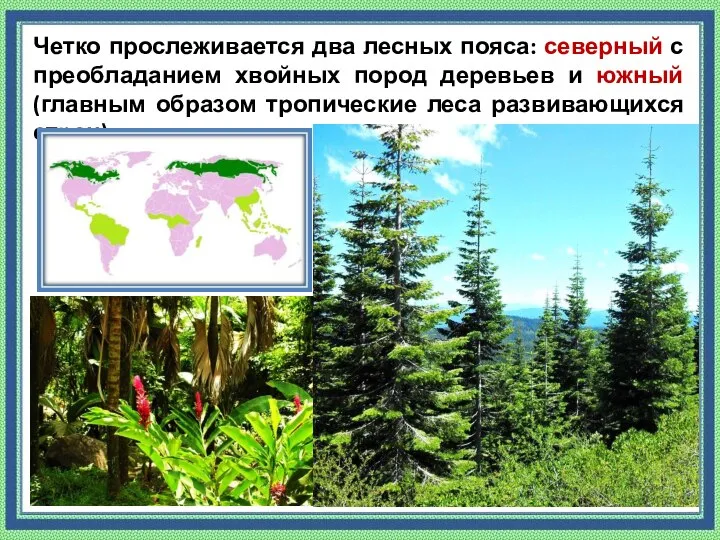 Четко прослеживается два лесных пояса: северный с преобладанием хвойных пород деревьев и