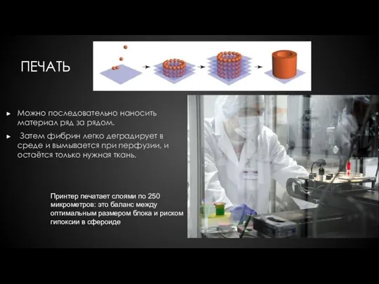 ПЕЧАТЬ Можно последовательно наносить материал ряд за рядом. Затем фибрин легко деградирует