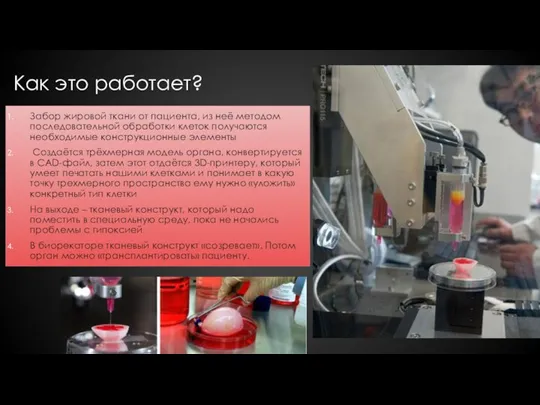 Как это работает? Забор жировой ткани от пациента, из неё методом последовательной