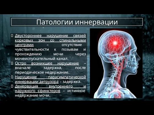 Патологии иннервации Двустороннее нарушение связей корковых зон со спинальными центрами – отсутствие