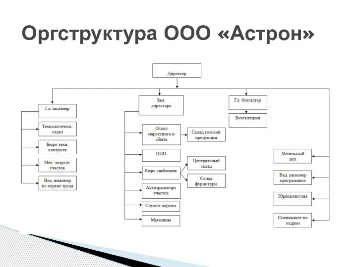 Оргструктура ООО «Астрон»