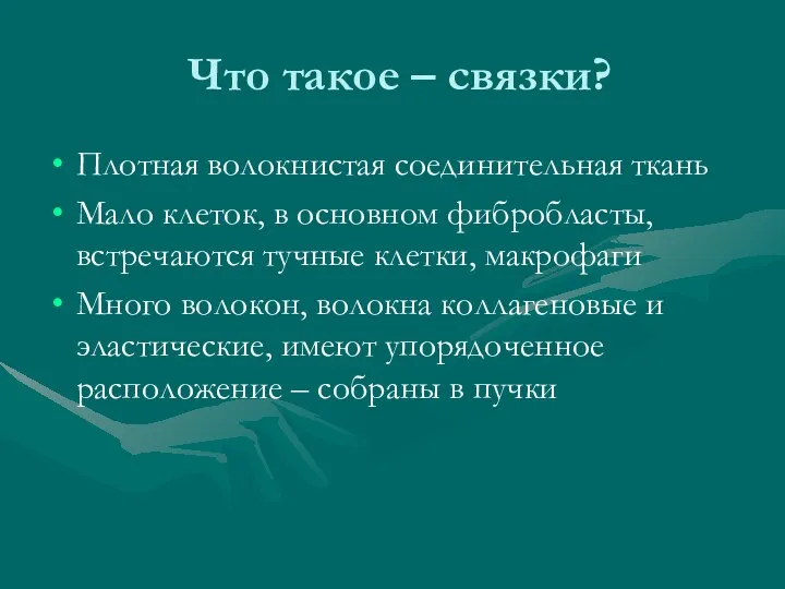 Что такое – связки? Плотная волокнистая соединительная ткань Мало клеток, в основном