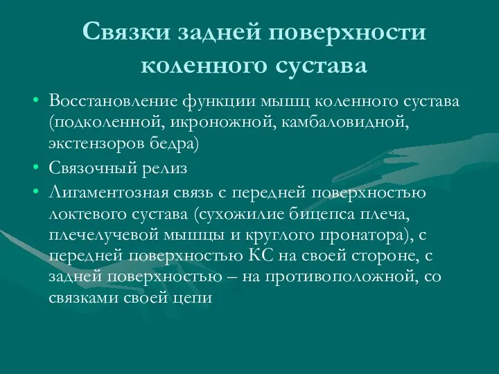 Связки задней поверхности коленного сустава Восстановление функции мышц коленного сустава (подколенной, икроножной,