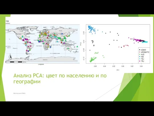 Анализ PCA: цвет по населению и по географии Мастерская GWAS