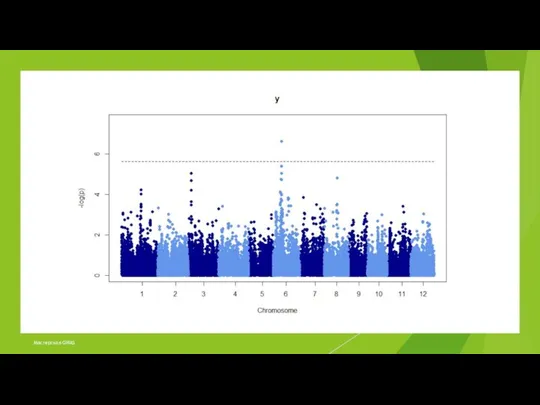 Мастерская GWAS