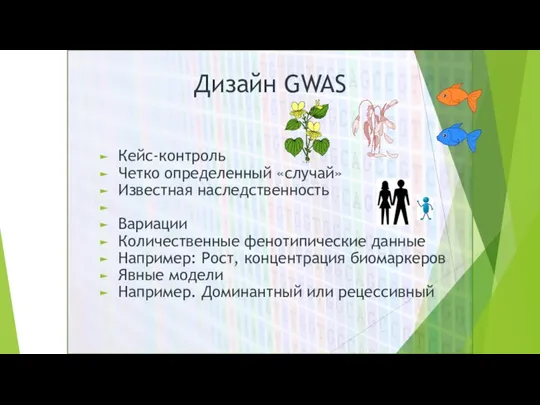 Кейс-контроль Четко определенный «случай» Известная наследственность Вариации Количественные фенотипические данные Например: Рост,