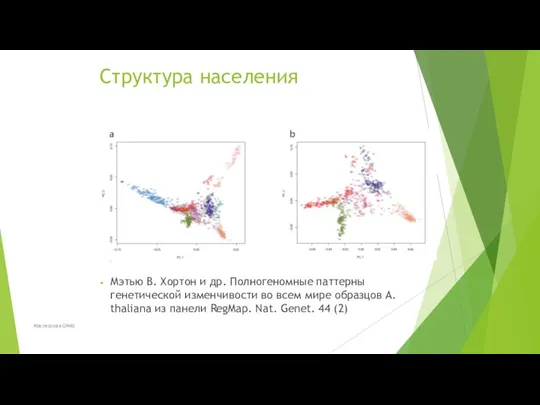 Структура населения Мэтью В. Хортон и др. Полногеномные паттерны генетической изменчивости во