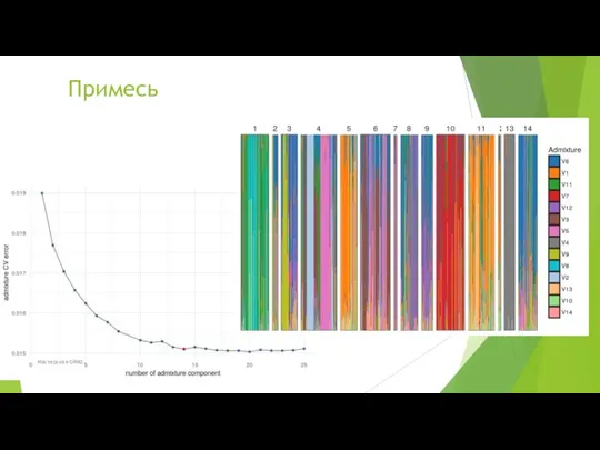 Примесь Мастерская GWAS