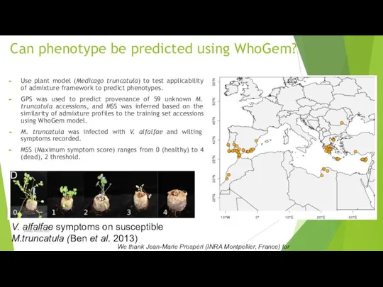 Can phenotype be predicted using WhoGem? Use plant model (Medicago truncatula) to