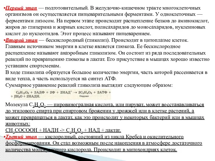 Первый этап — подготовительный. В желудочно-кишечном тракте многоклеточных организмов он осуществляется пищеварительными