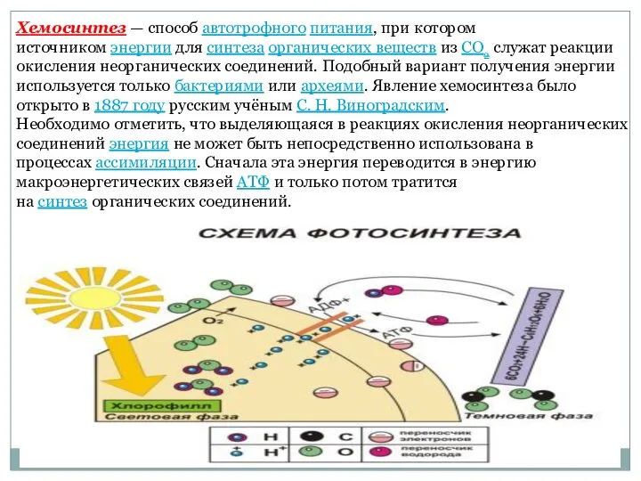 Хемосинтез — способ автотрофного питания, при котором источником энергии для синтеза органических