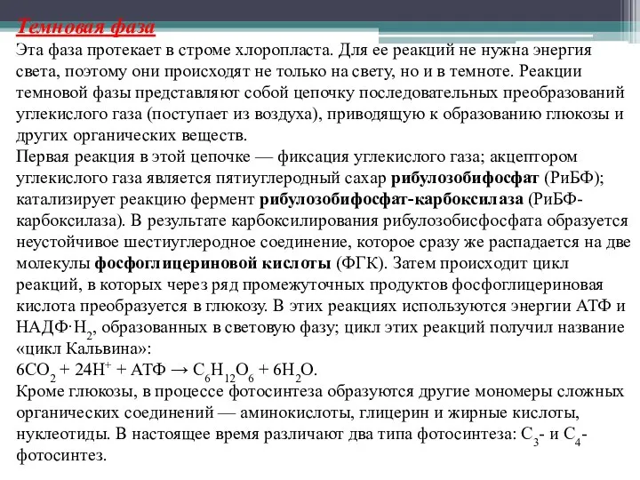 Темновая фаза Эта фаза протекает в строме хлоропласта. Для ее реакций не