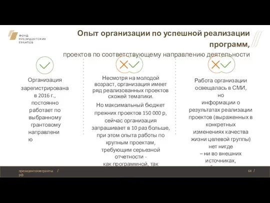 Опыт организации по успешной реализации программ, проектов по соответствующему направлению деятельности Организация