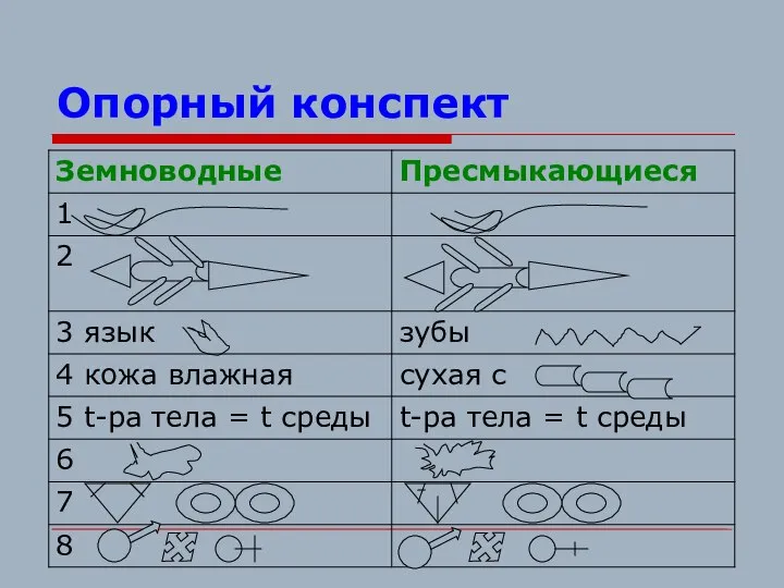 Опорный конспект