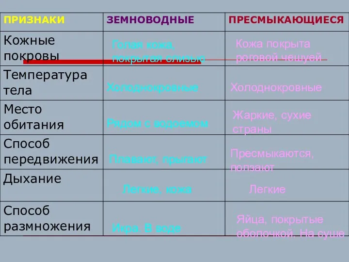 Голая кожа, покрытая слизью Холоднокровные Рядом с водоемом Плавают, прыгают Легкие, кожа