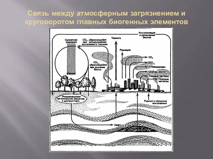 Связь между атмосферным загрязнением и круговоротом главных биогенных элементов