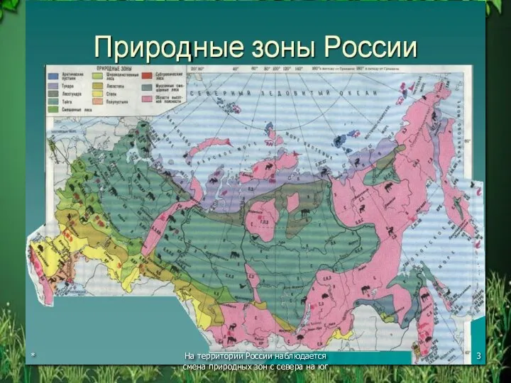 * На территории России наблюдается смена природных зон с севера на юг