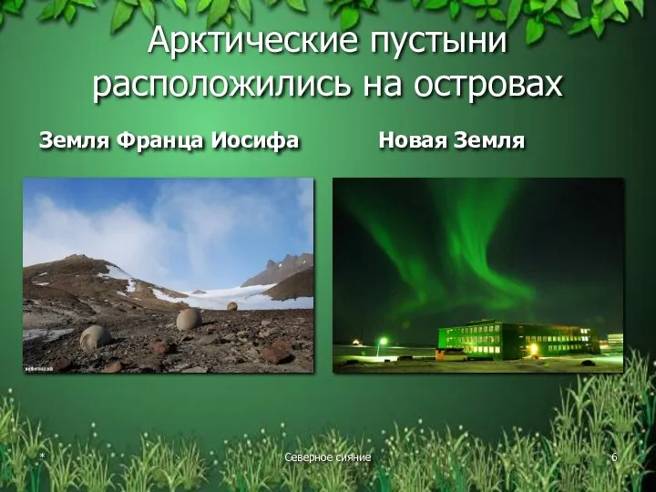 Арктические пустыни расположились на островах Земля Франца Иосифа Новая Земля * Северное сияние