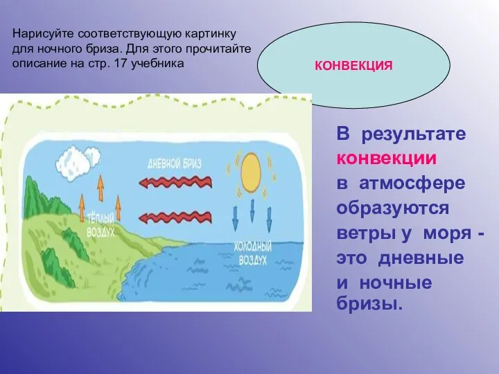 В результате конвекции в атмосфере образуются ветры у моря - это дневные