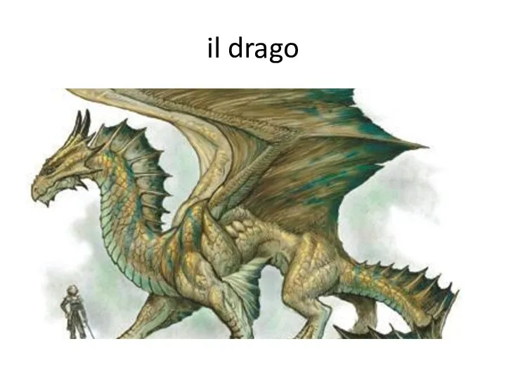 il drago