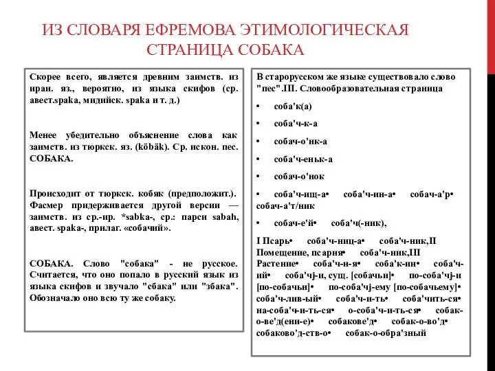 ИЗ СЛОВАРЯ ЕФРЕМОВА ЭТИМОЛОГИЧЕСКАЯ СТРАНИЦА СОБАКА Скорее всего, является древним заимств. из