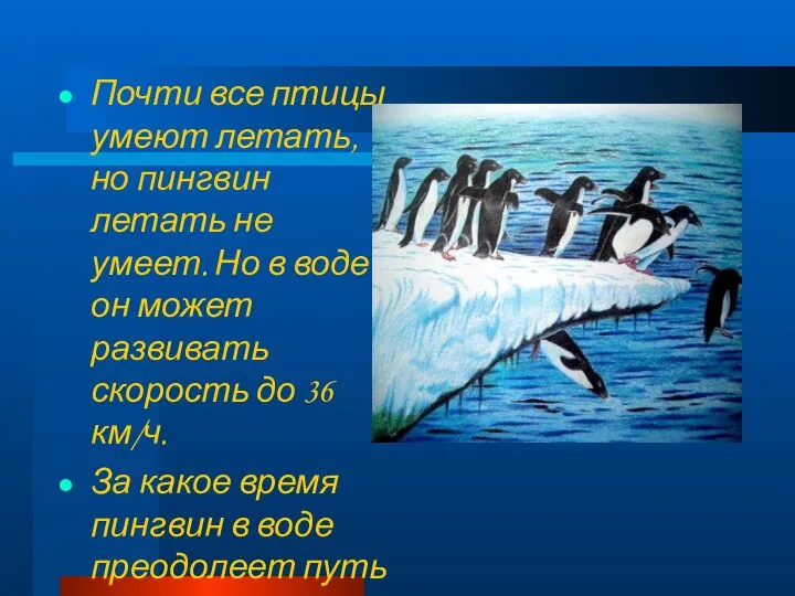 Почти все птицы умеют летать, но пингвин летать не умеет. Но в