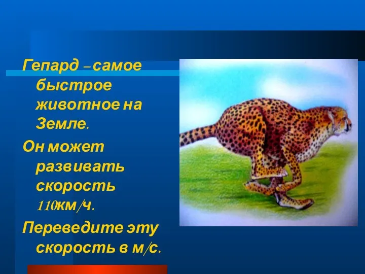 Гепард – самое быстрое животное на Земле. Он может развивать скорость 110км/ч.