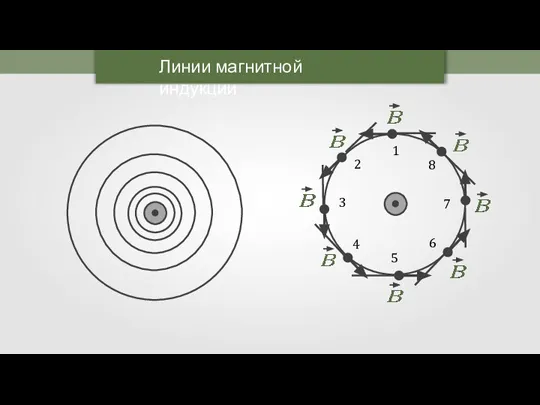 Линии магнитной индукции 1 2 3 7 4 5 6 8