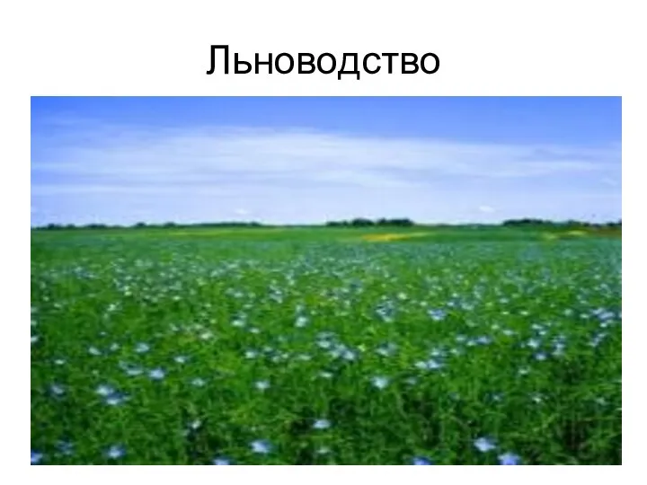 Льноводство