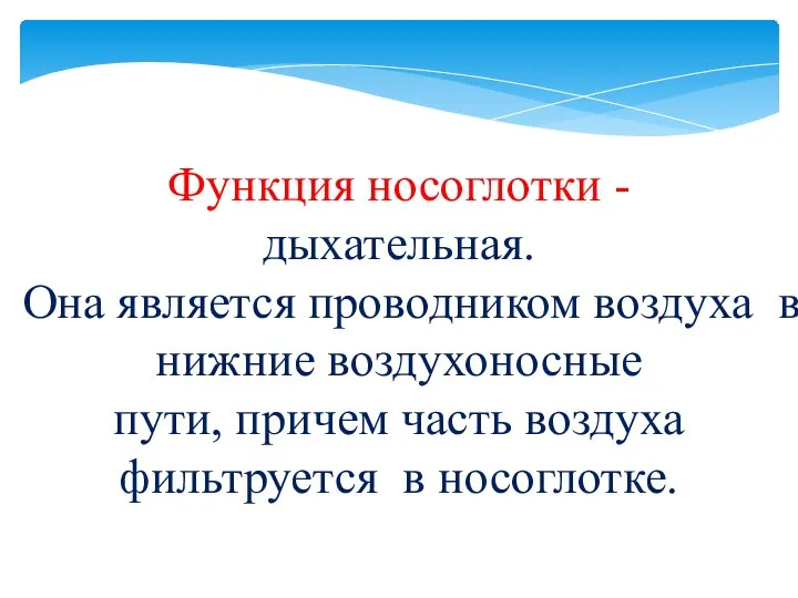 Функция носоглотки - дыхательная. Она является проводником воздуха в нижние воздухоносные пути,