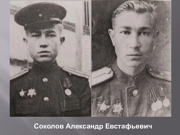 Соколов Александр Евстафьевич