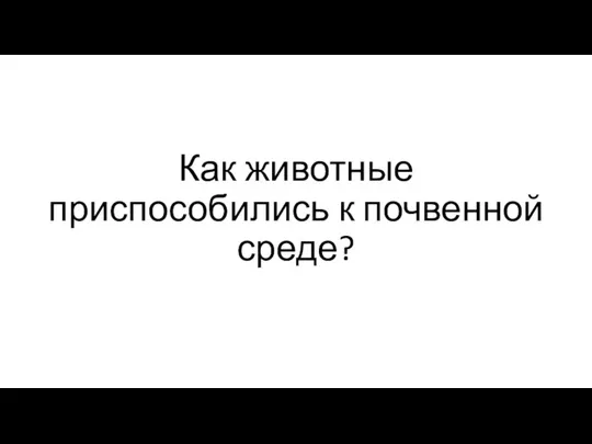 Как животные приспособились к почвенной среде?