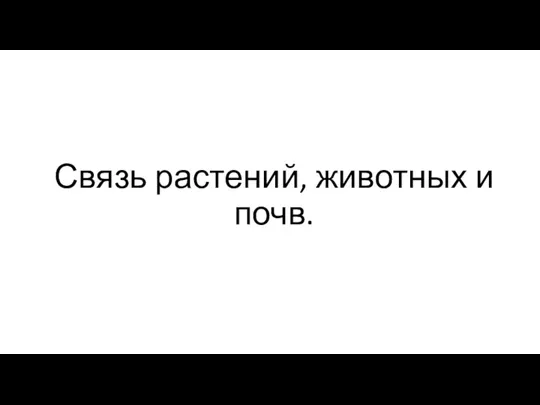 Связь растений, животных и почв.