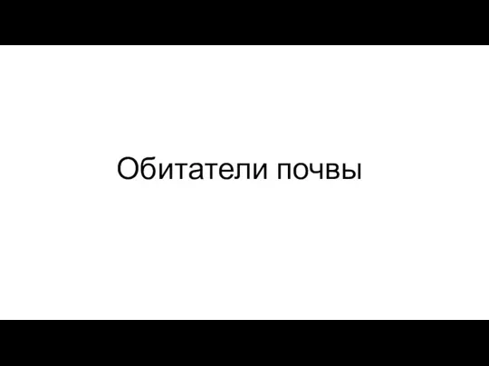 Обитатели почвы