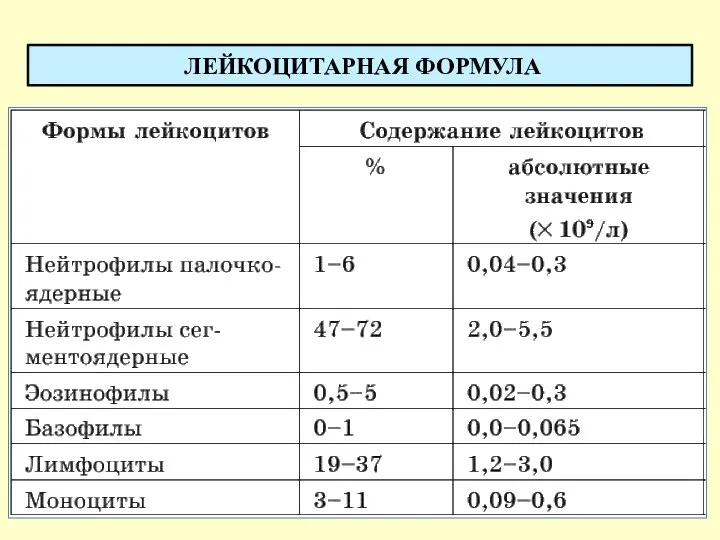 ЛЕЙКОЦИТАРНАЯ ФОРМУЛА