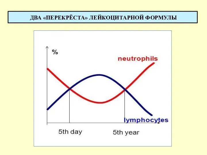 ДВА «ПЕРЕКРЁСТА» ЛЕЙКОЦИТАРНОЙ ФОРМУЛЫ