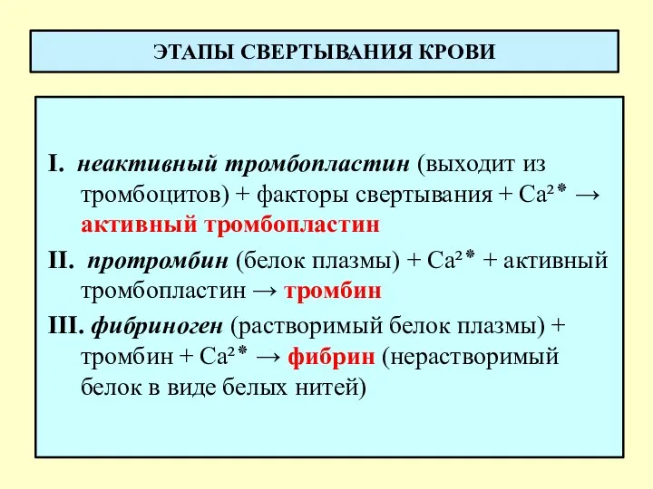 ЭТАПЫ СВЕРТЫВАНИЯ КРОВИ I. неактивный тромбопластин (выходит из тромбоцитов) + факторы свертывания