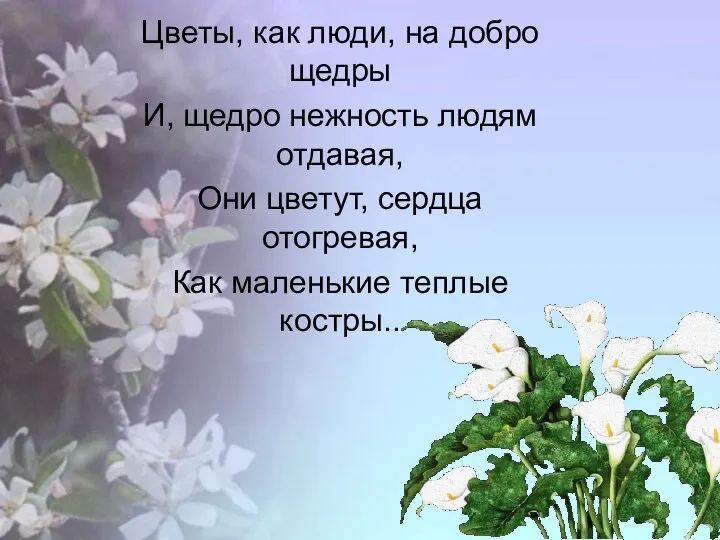 Цветы, как люди, на добро щедры И, щедро нежность людям отдавая, Они